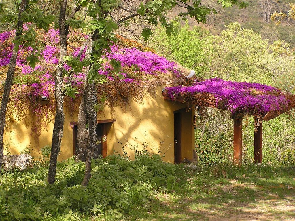 Apartamentos Rurales Ecopangea Valverde de la Vera Habitación foto