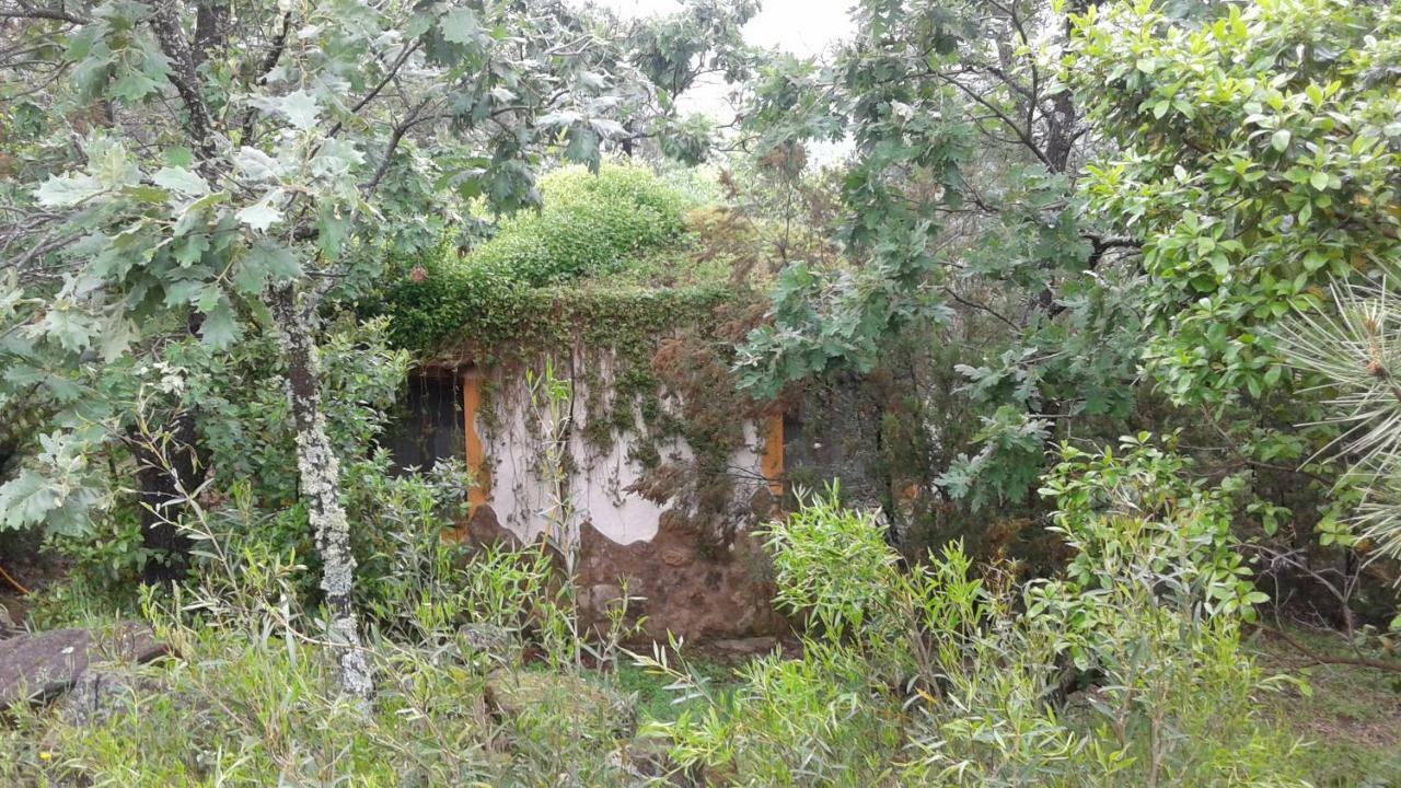 Apartamentos Rurales Ecopangea Valverde de la Vera Exterior foto