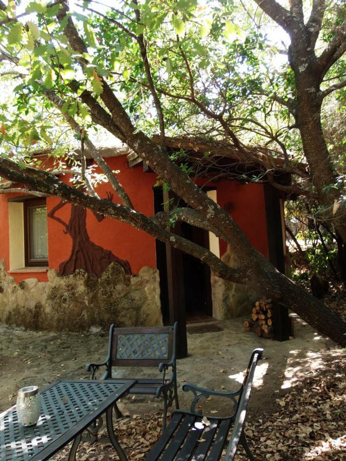 Apartamentos Rurales Ecopangea Valverde de la Vera Exterior foto